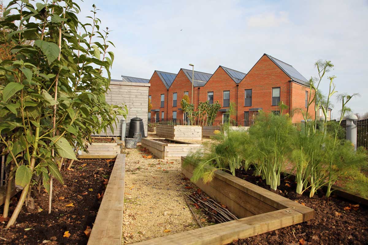 Allotment at a crest nicholson development