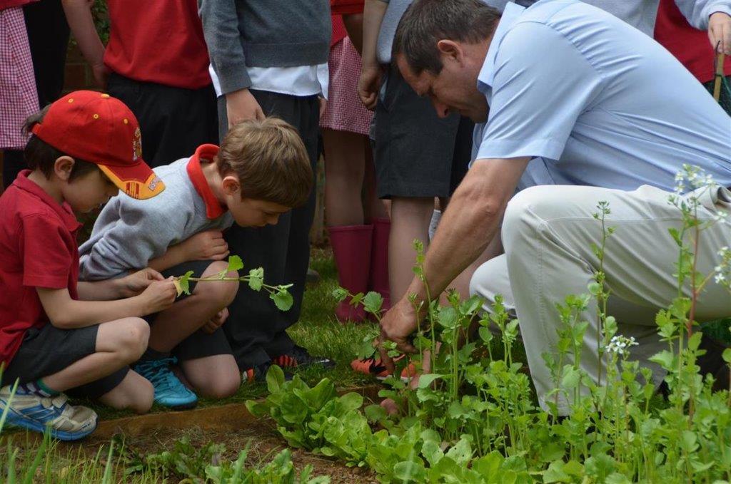 Gardening with children