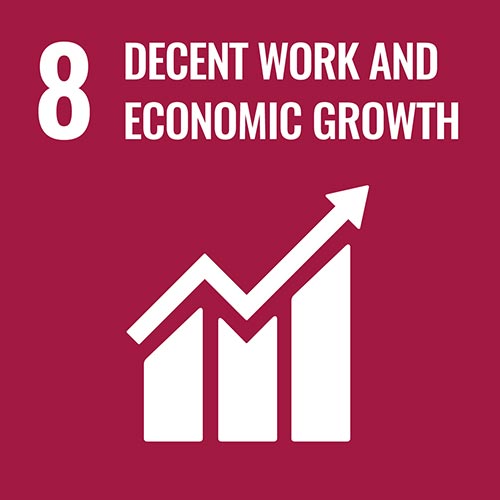 Icon for decent Work and Economic Growth Image